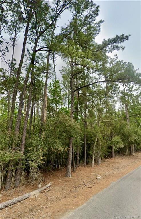 Lot 2 Sandy Lane Dequincy, LA 70633 - Photo 5 of 10