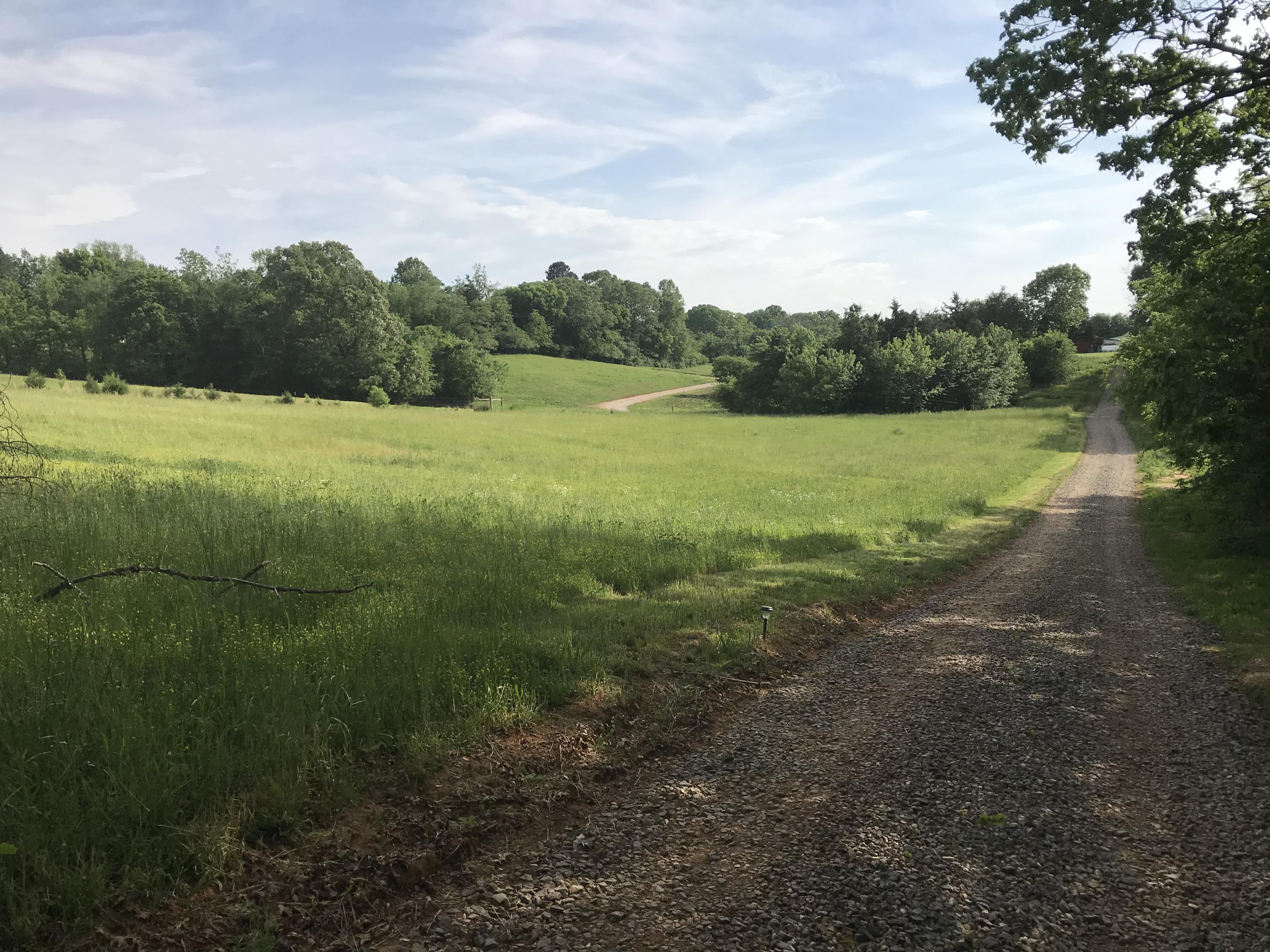 Blue Springs Road Strawberry Plains, TN 37871 - Photo 2 of 8 image2