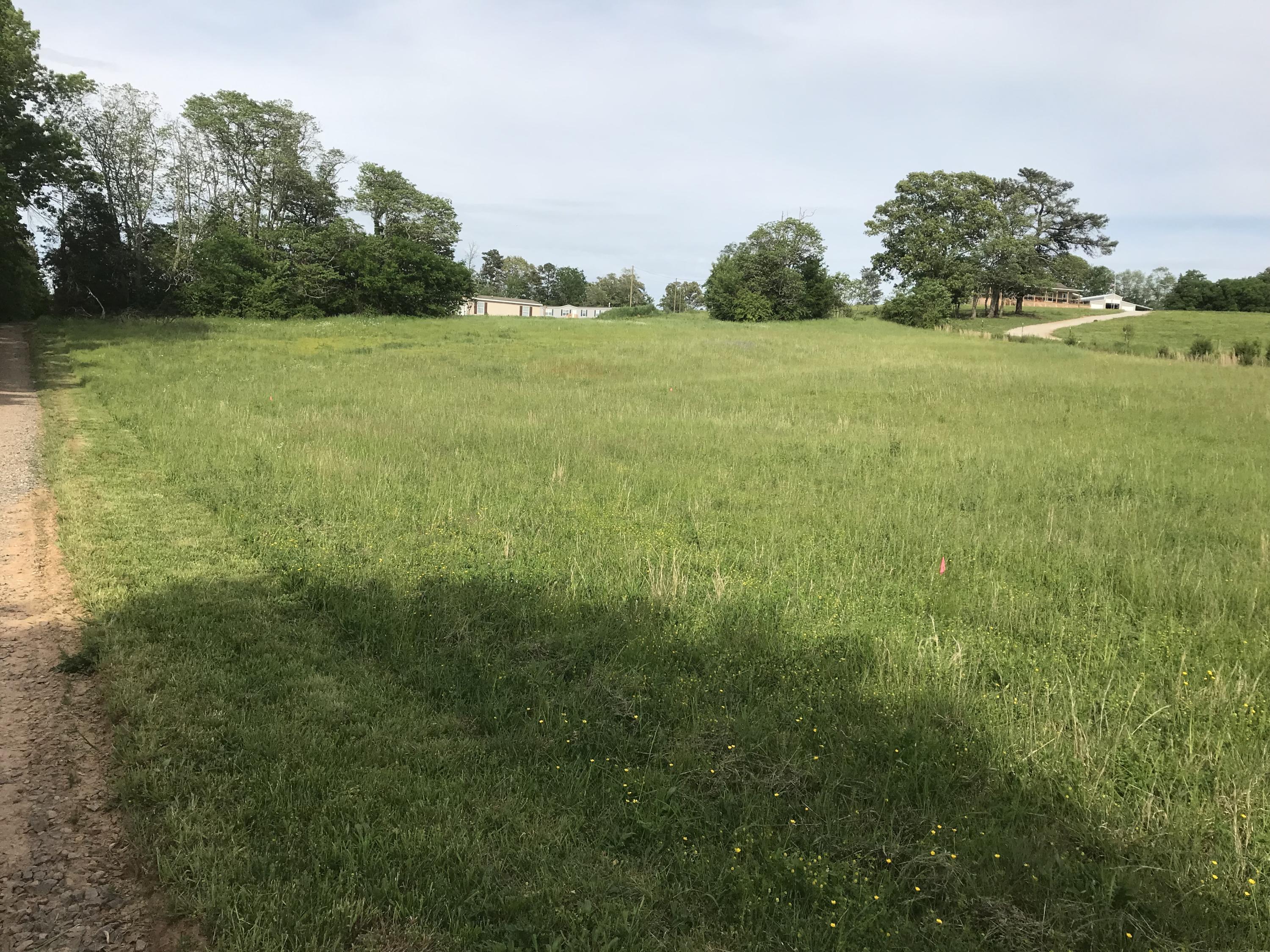 Blue Springs Road Strawberry Plains, TN 37871 - Photo 3 of 8 image3