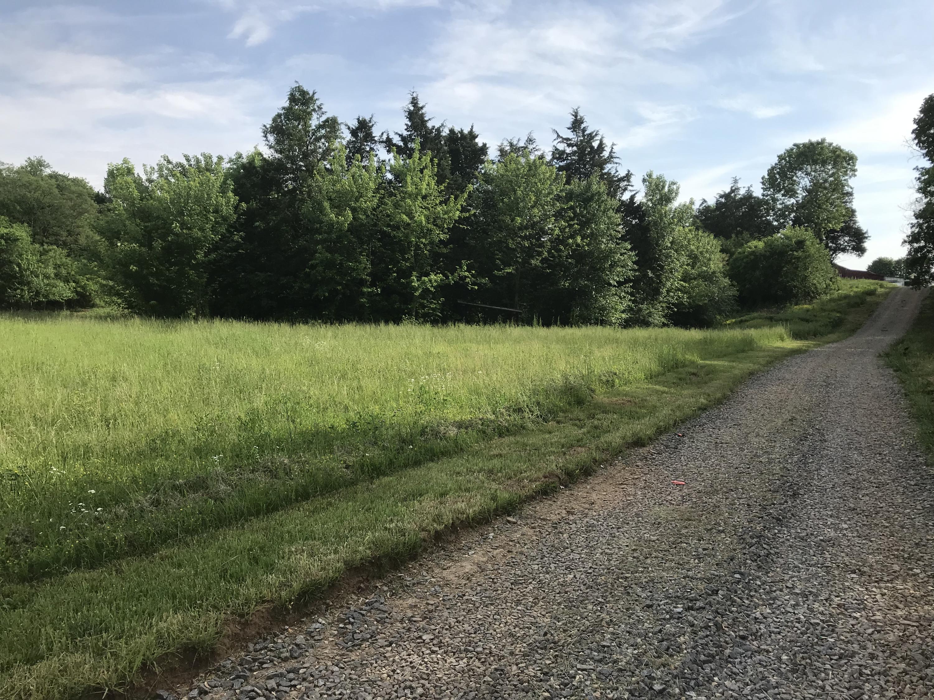 Blue Springs Road Strawberry Plains, TN 37871 - Photo 4 of 8 image4
