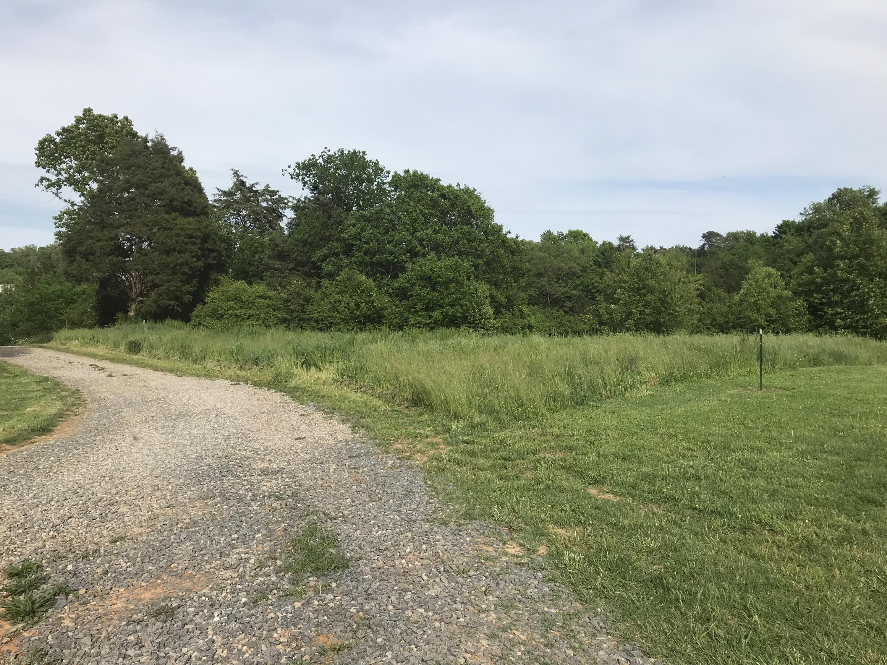 Blue Springs Road Strawberry Plains, TN 37871 - Photo 5 of 8 image5