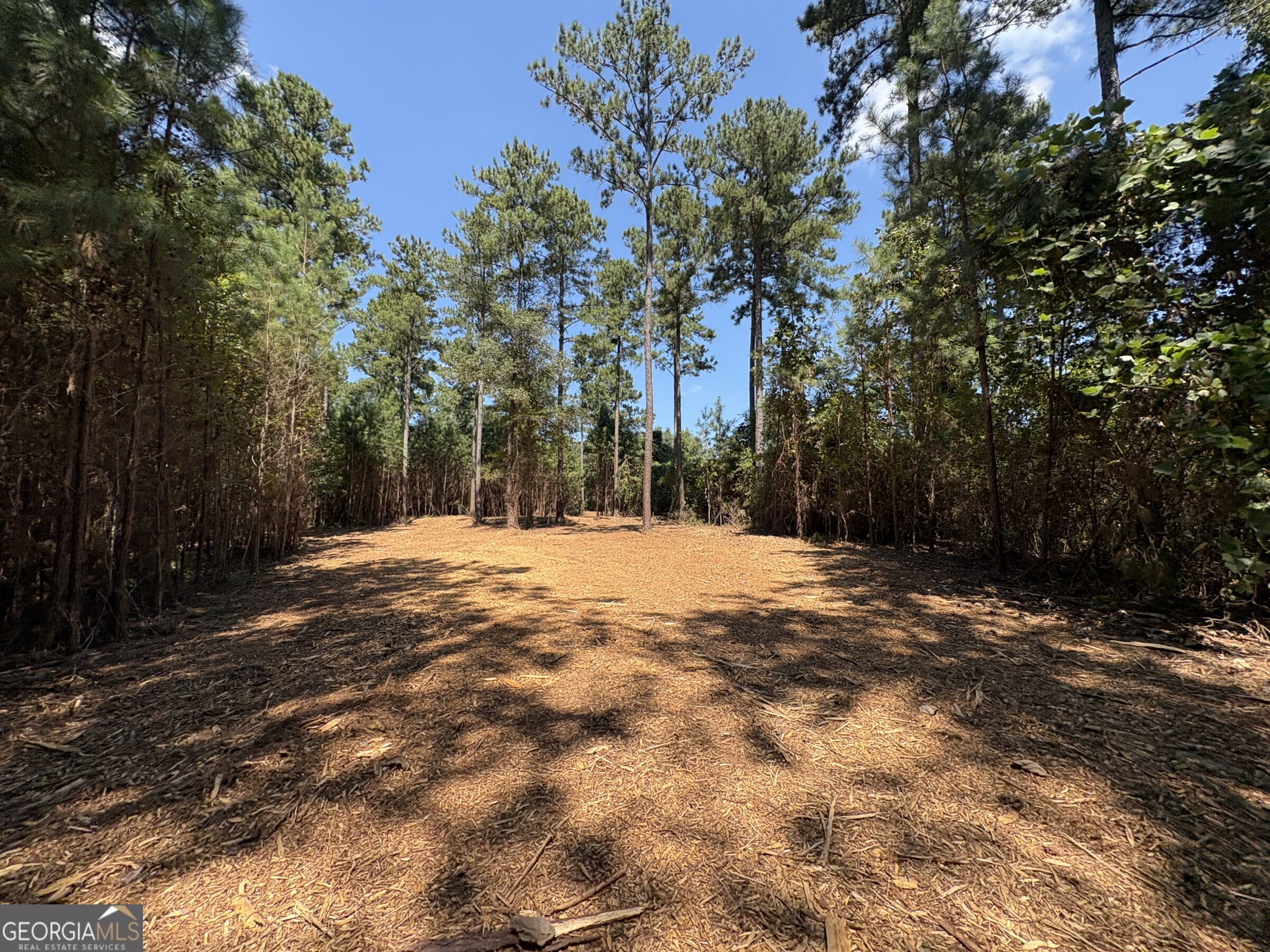 Tracts 2-4 Old Rumble Road Forsyth, GA 31029 - Photo 1 of 9 a view of empty space with trees