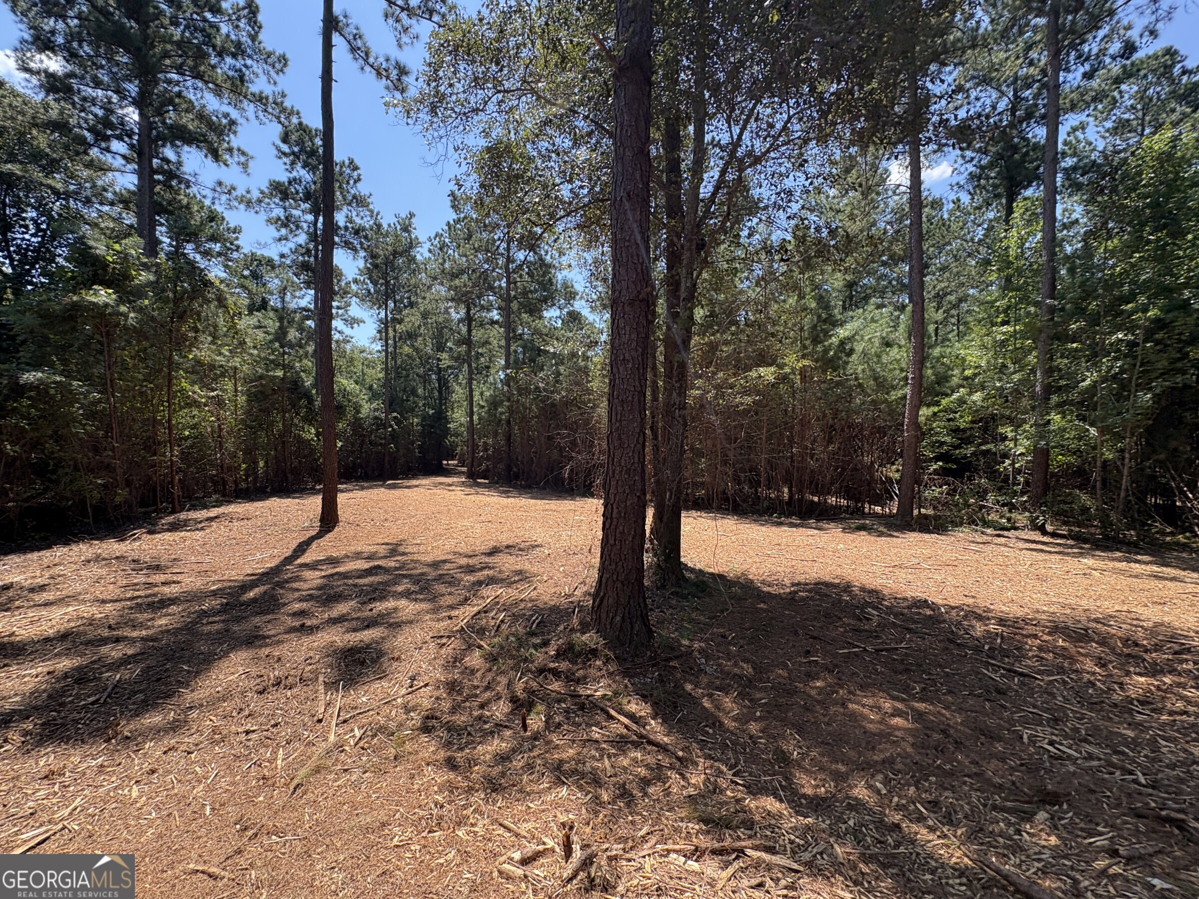 Tracts 2-4 Old Rumble Road Forsyth, GA 31029 - Photo 2 of 9 a street view covered with snow