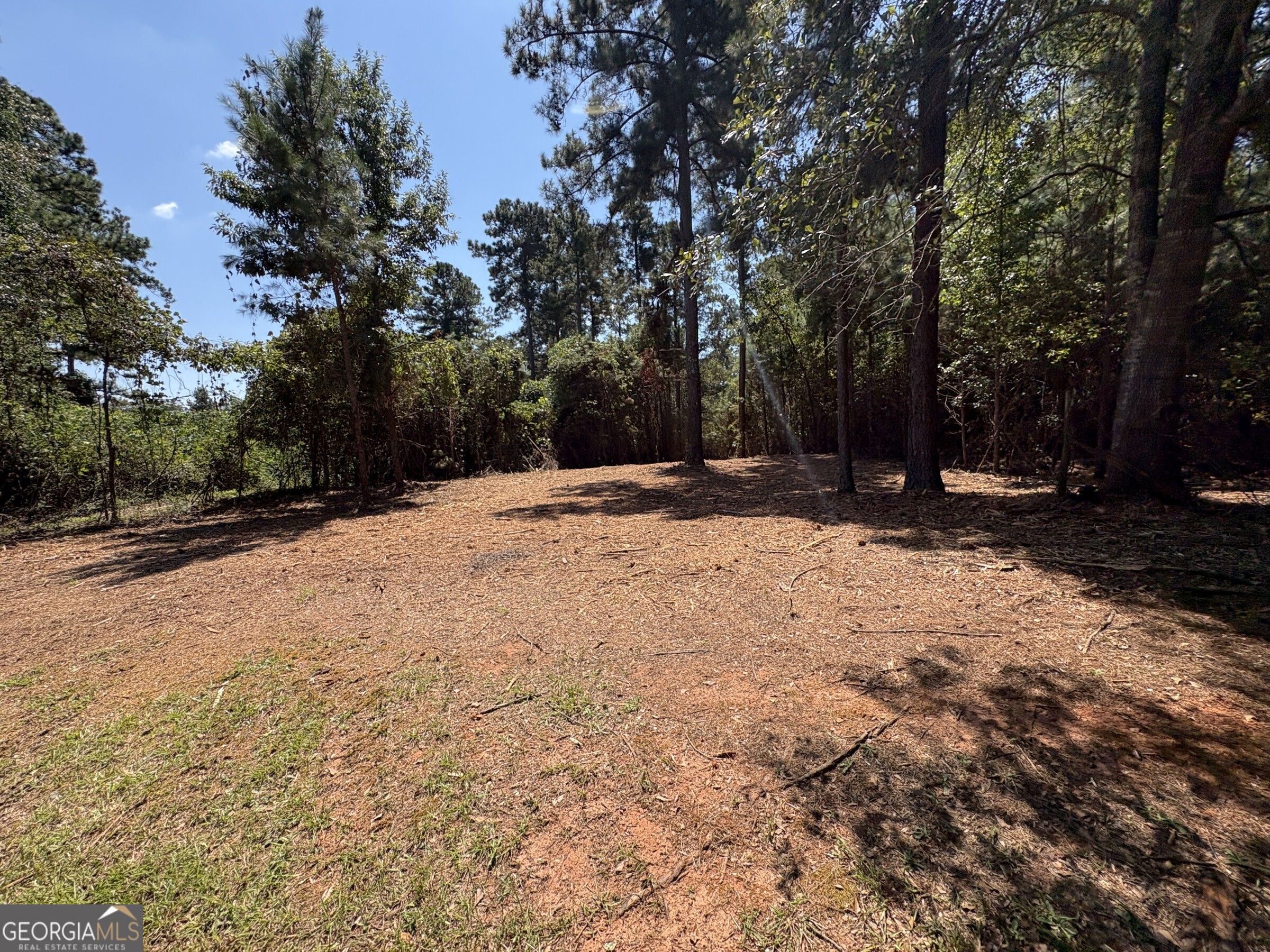 Tracts 2-4 Old Rumble Road Forsyth, GA 31029 - Photo 3 of 9 a backyard of a house