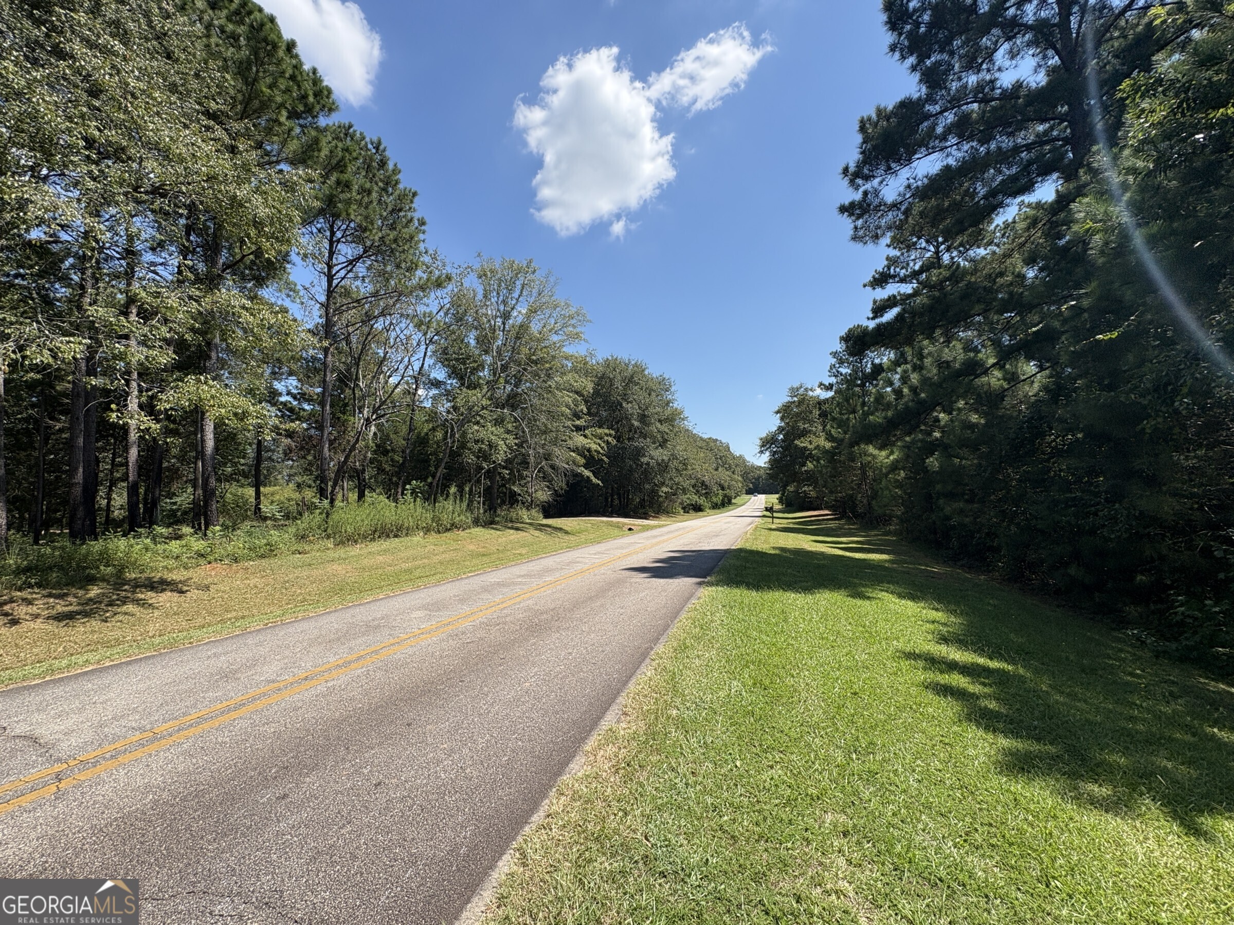 Tracts 2-4 Old Rumble Road Forsyth, GA 31029 - Photo 4 of 9 a view of a yard with a large trees