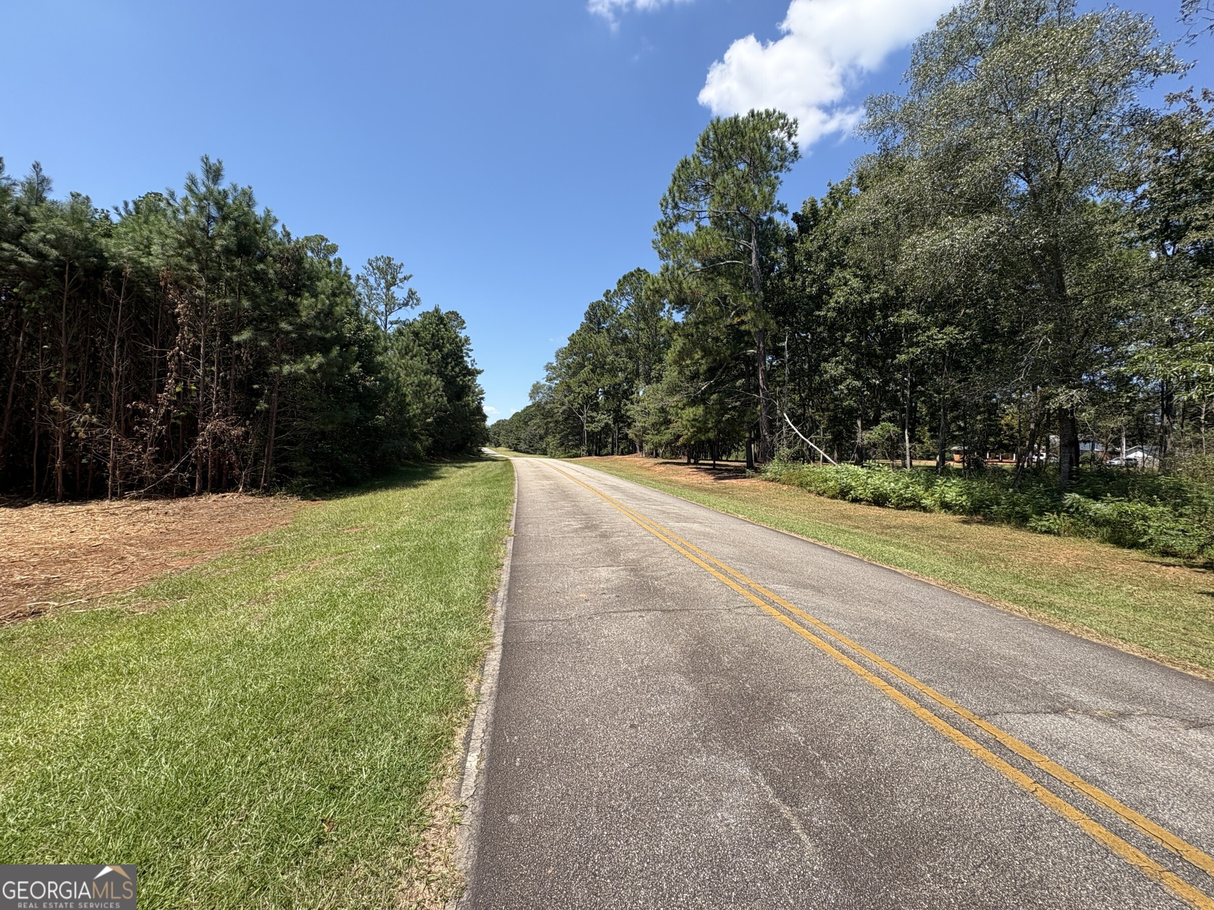 Tracts 2-4 Old Rumble Road Forsyth, GA 31029 - Photo 5 of 9 a view of a backyard