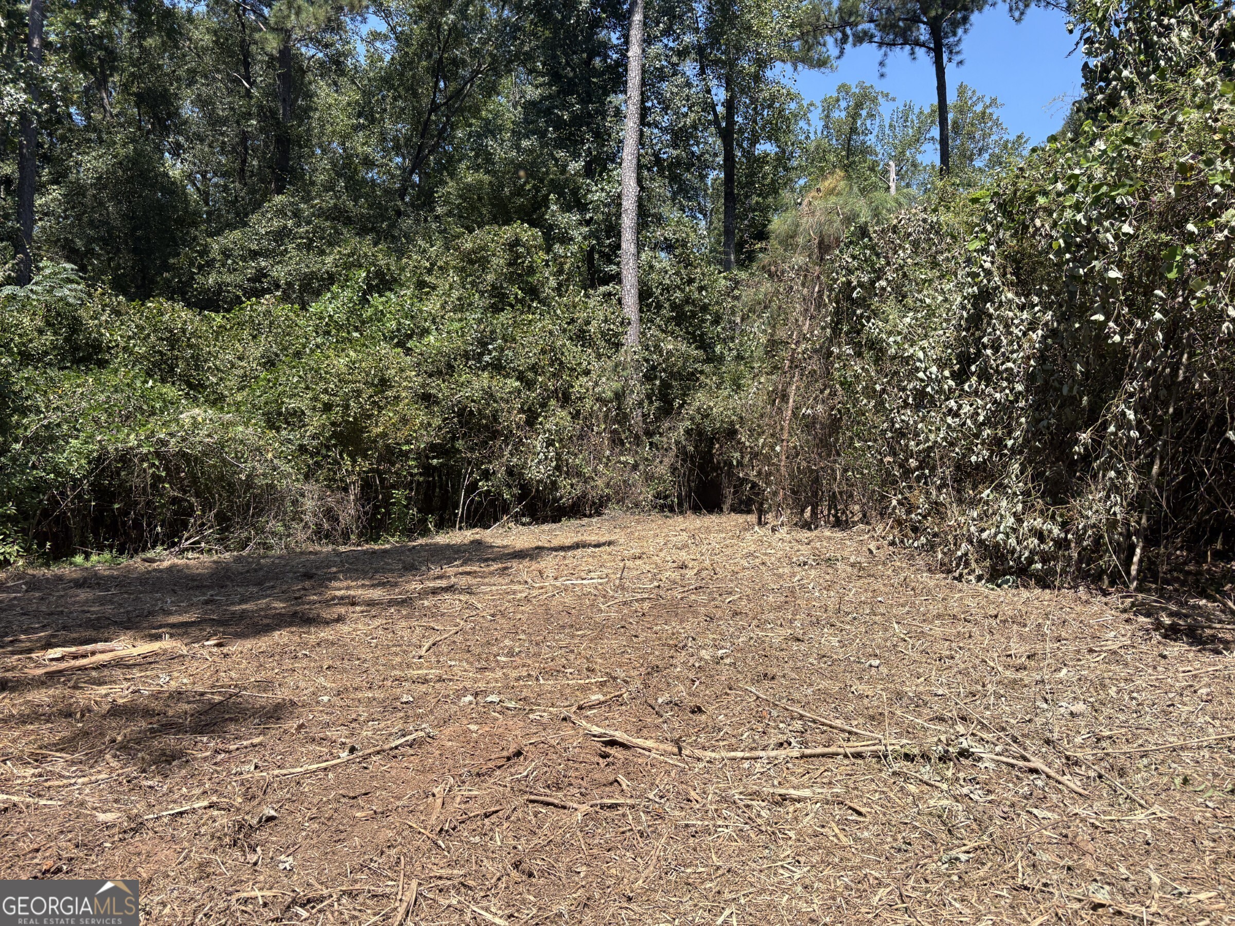 Tracts 2-4 Old Rumble Road Forsyth, GA 31029 - Photo 6 of 9 a view of a yard with trees