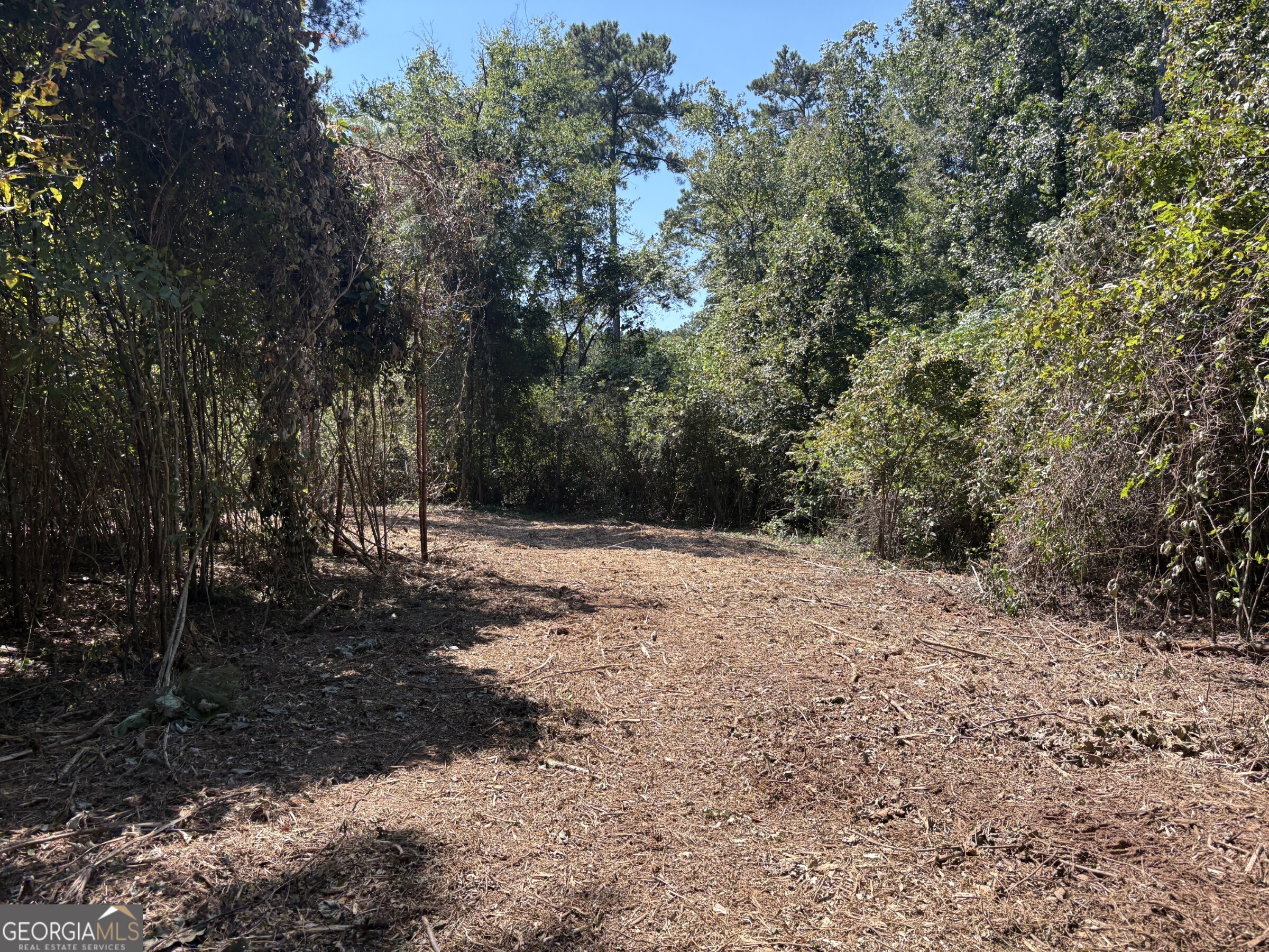 Tracts 2-4 Old Rumble Road Forsyth, GA 31029 - Photo 7 of 9 a view of a yard with trees