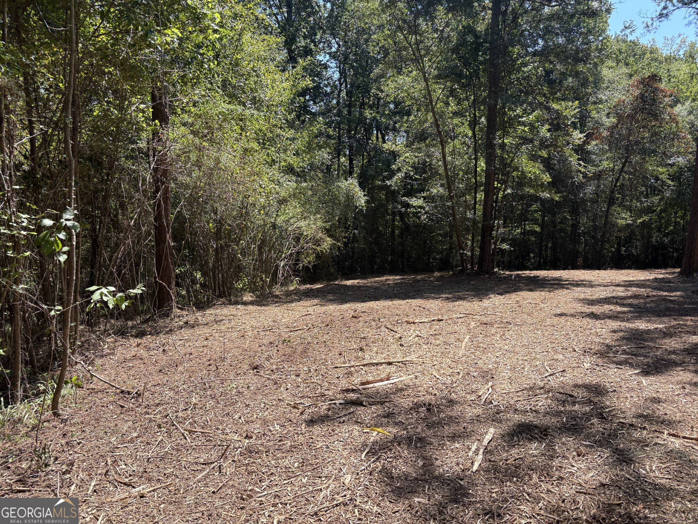 Tracts 2-4 Old Rumble Road Forsyth, GA 31029 - Photo 8 of 9 a view of backyard with green space
