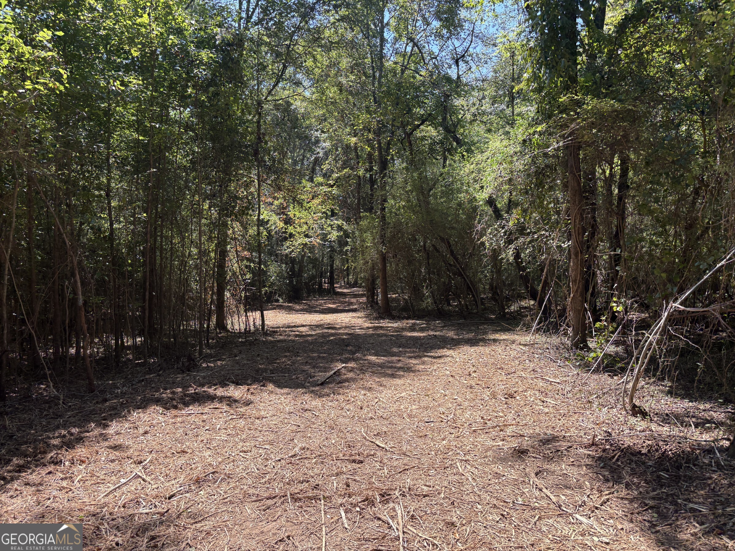 Tracts 2-4 Old Rumble Road Forsyth, GA 31029 - Photo 9 of 9 a view of backyard with green space