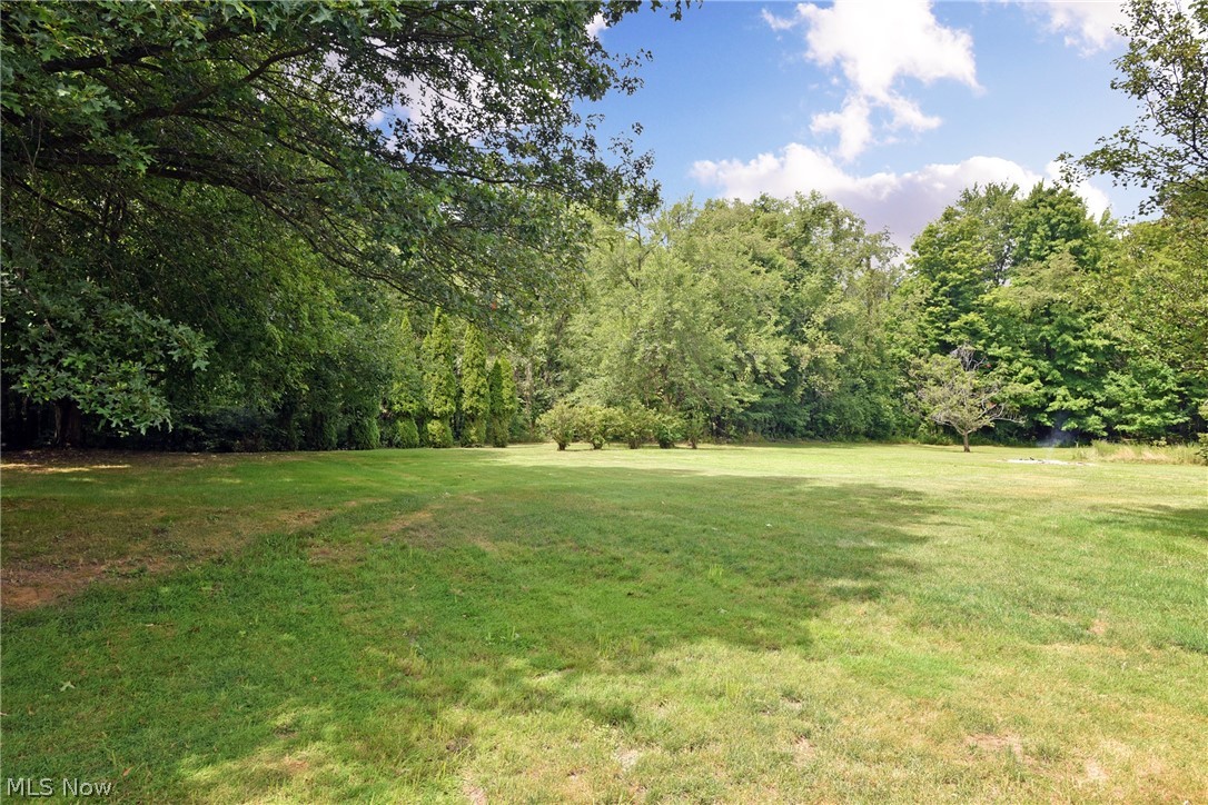 7740 State Road Wadsworth, OH 44281 - Photo 6 of 33 Gallery Image 6