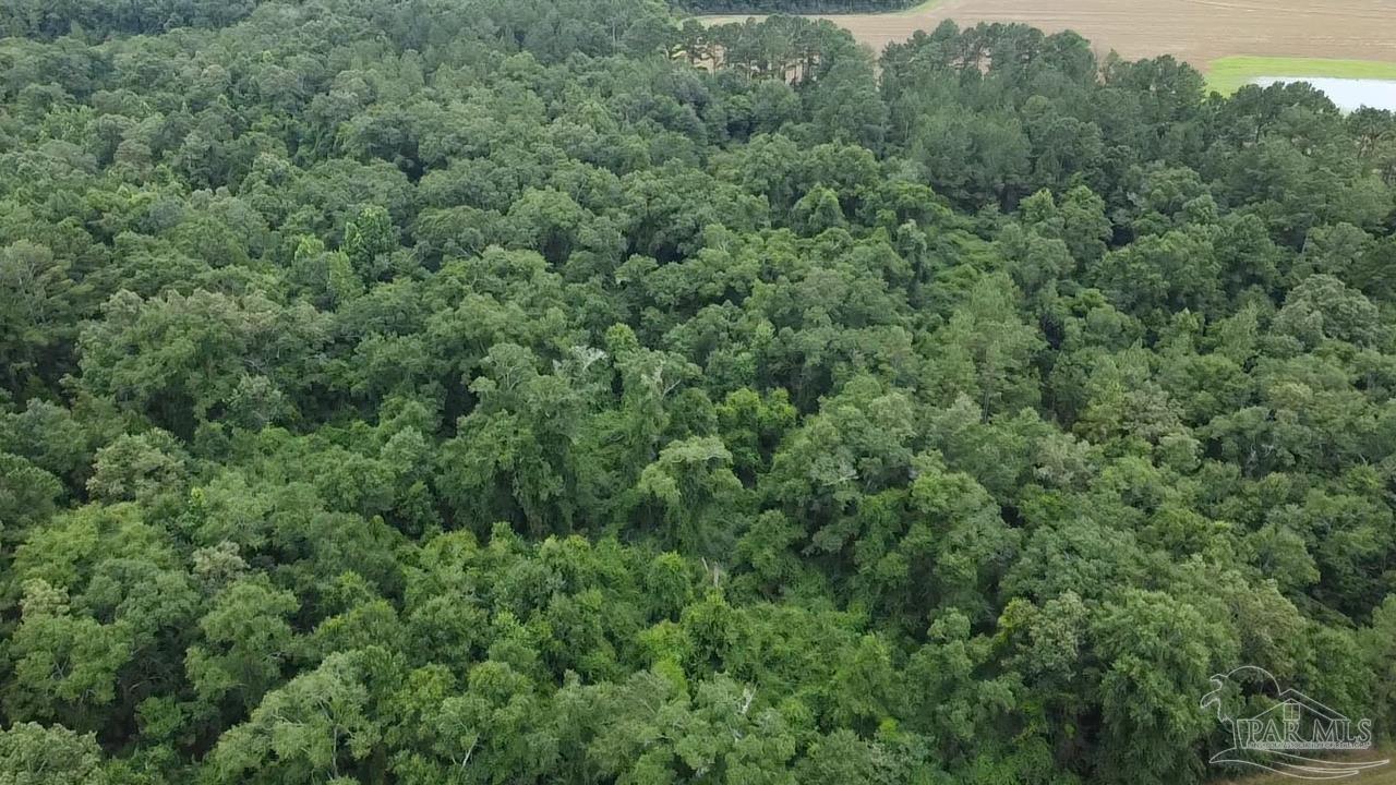 7600 Bratt Road Century, FL 32535 - Photo 27 of 41