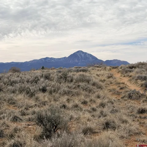 $35,000 | Lot 161 Jennings Drive, Cortez, CO 81321