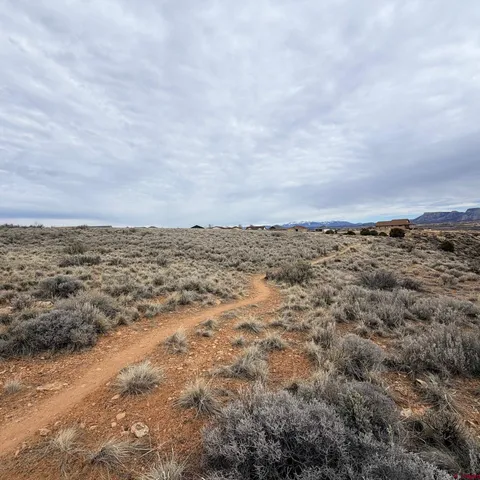 $35,000 | Lot 161 Jennings Drive, Cortez, CO 81321
