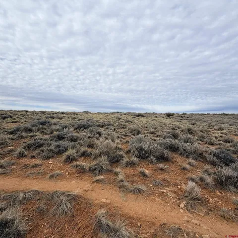 $35,000 | Lot 161 Jennings Drive, Cortez, CO 81321