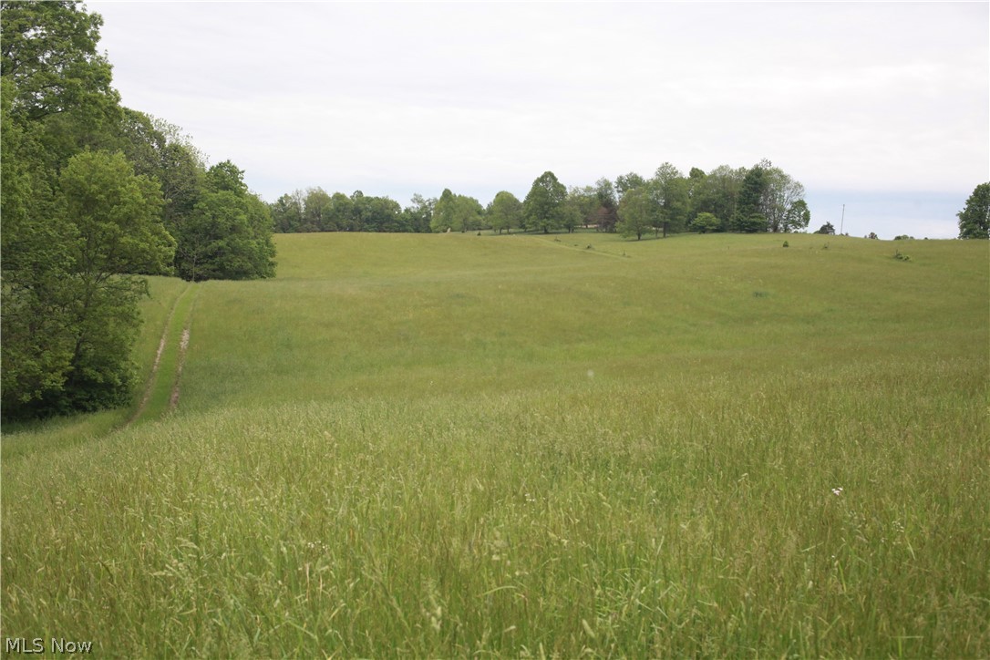 Sandy Ridge Road Southeast Tippecanoe, OH 44699 - Photo 4 of 27 Gallery Image 4