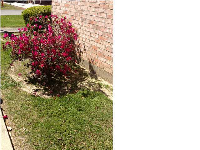 116 North Barousse Street Church Point, LA 70525 - Photo 21 of 22 Additional Photo