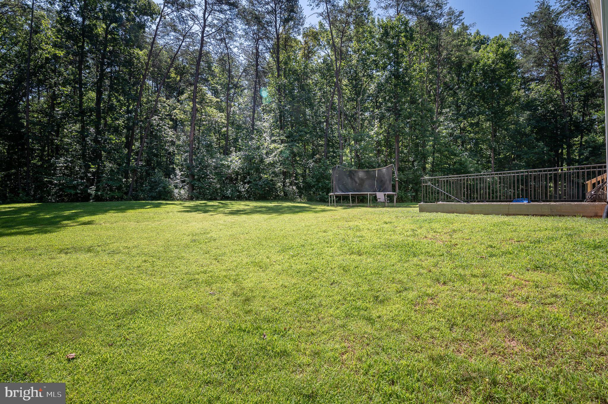 3009 Minor Road Bumpass, VA 23024 - Photo 29 of 32 Huge Back Yard