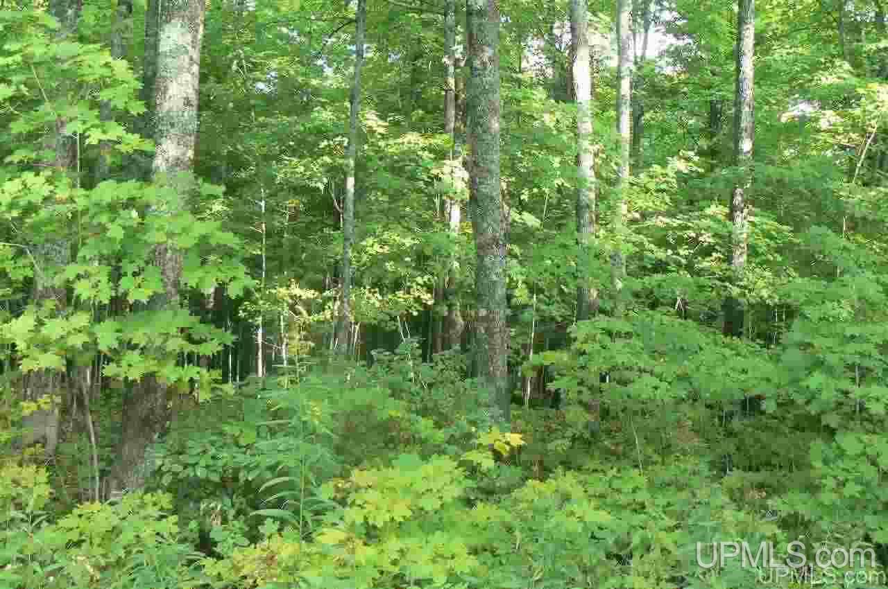 Tbd M94, Unit 3 Chatham, MI 49816 - Photo 4 of 4