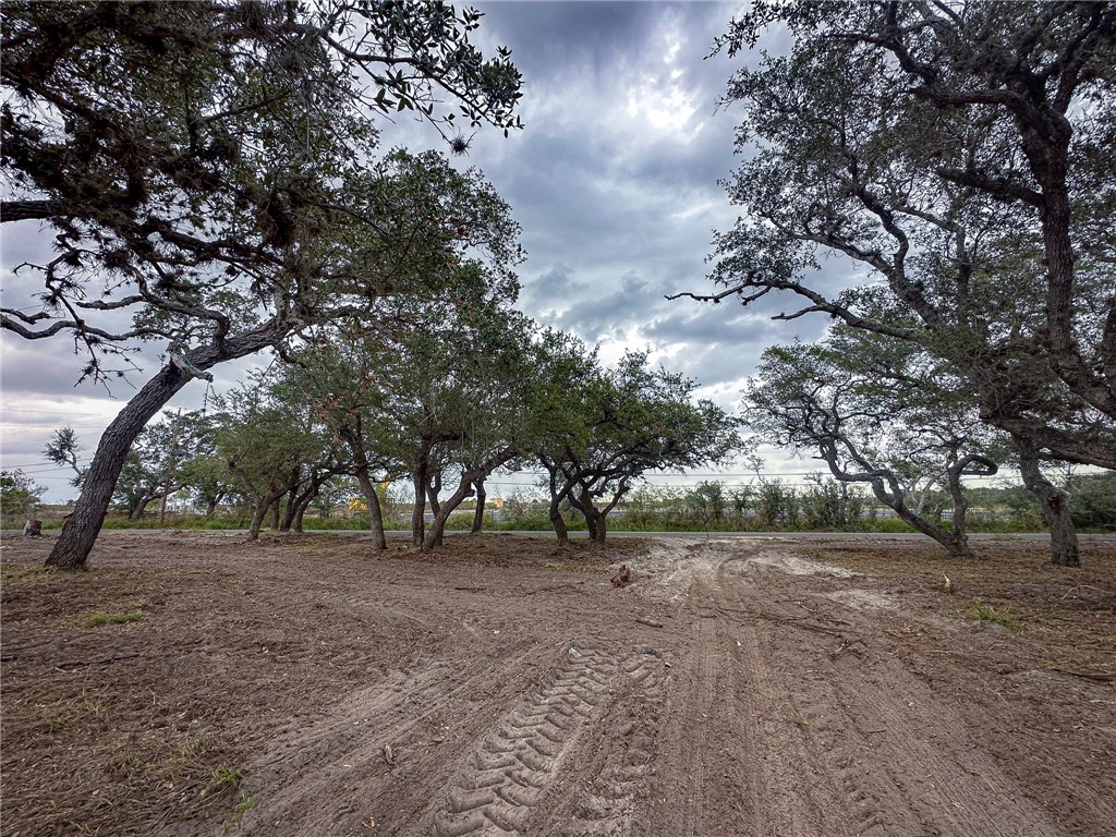 2537 Jocelyn Road Aransas Pass, TX 78336 - Photo 1 of 10 a view of dirt yard with a tree