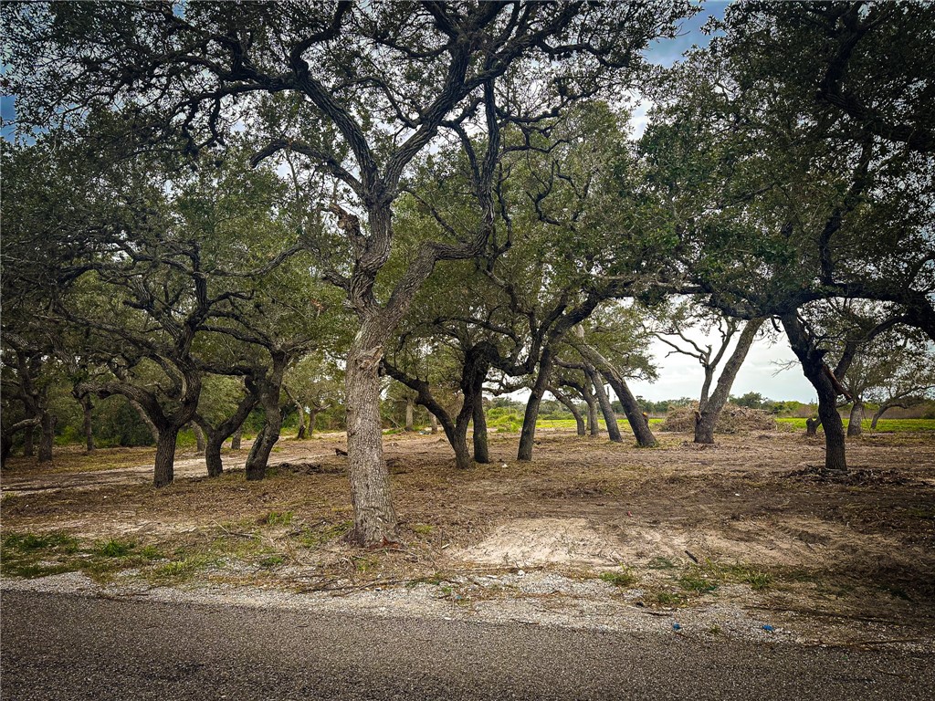 2537 Jocelyn Road Aransas Pass, TX 78336 - Photo 6 of 10 a view of outdoor space with trees