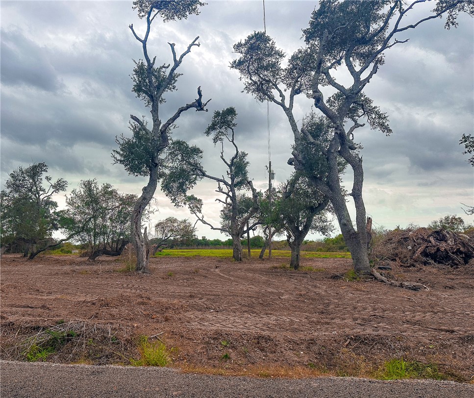 2537 Jocelyn Road Aransas Pass, TX 78336 - Photo 7 of 10 a view of yard with tree
