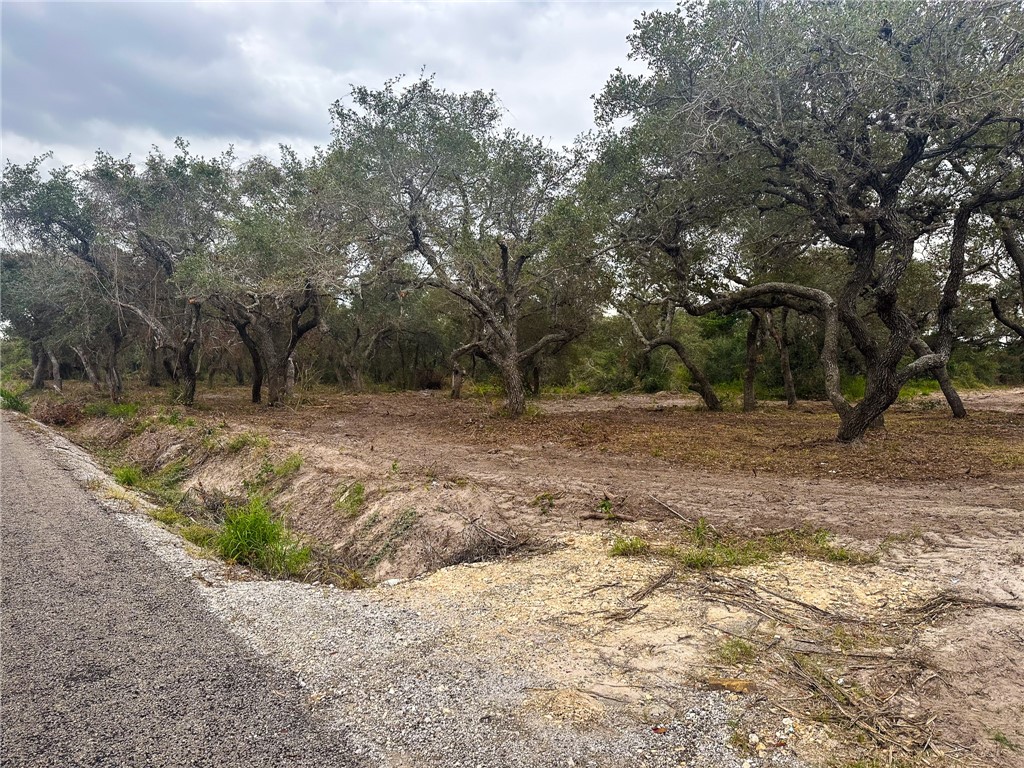 2537 Jocelyn Road Aransas Pass, TX 78336 - Photo 8 of 10 a view of a yard with trees
