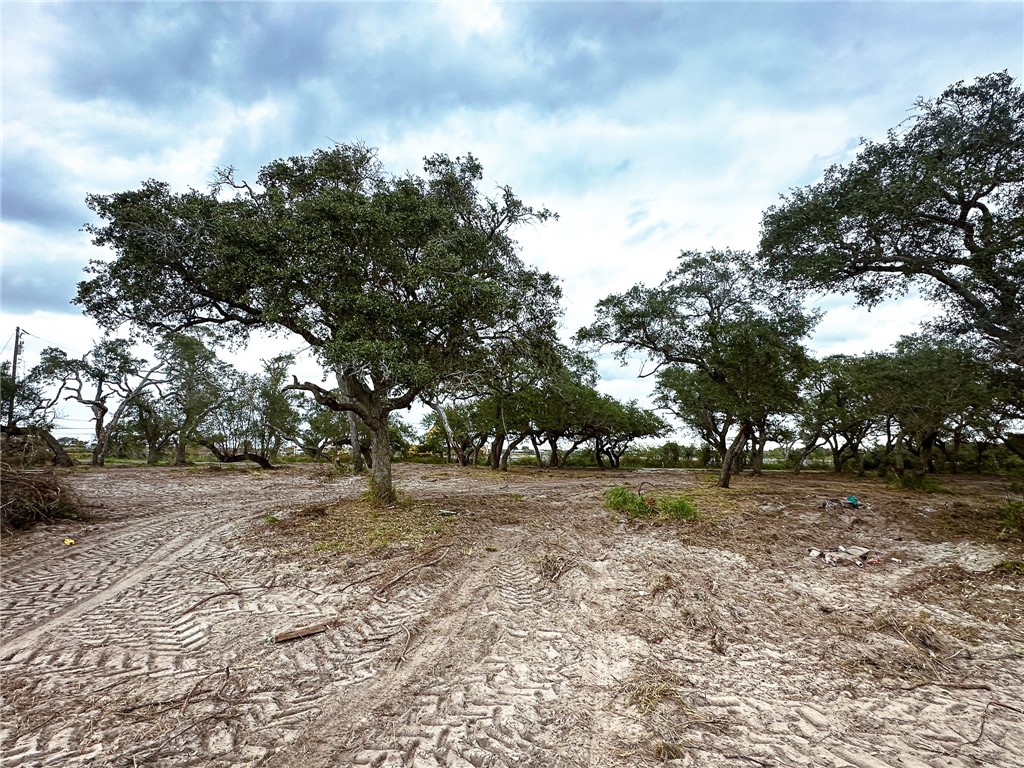 2537 Jocelyn Road Aransas Pass, TX 78336 - Photo 10 of 10 a view of a yard with large trees