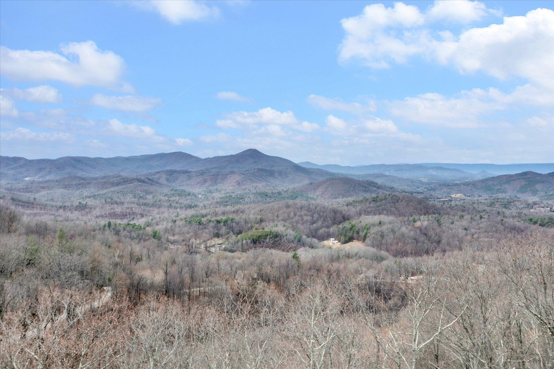 7890 Webb Road Boones Mill, VA 24065 - Photo 2 of 82 05-DJI_0604
