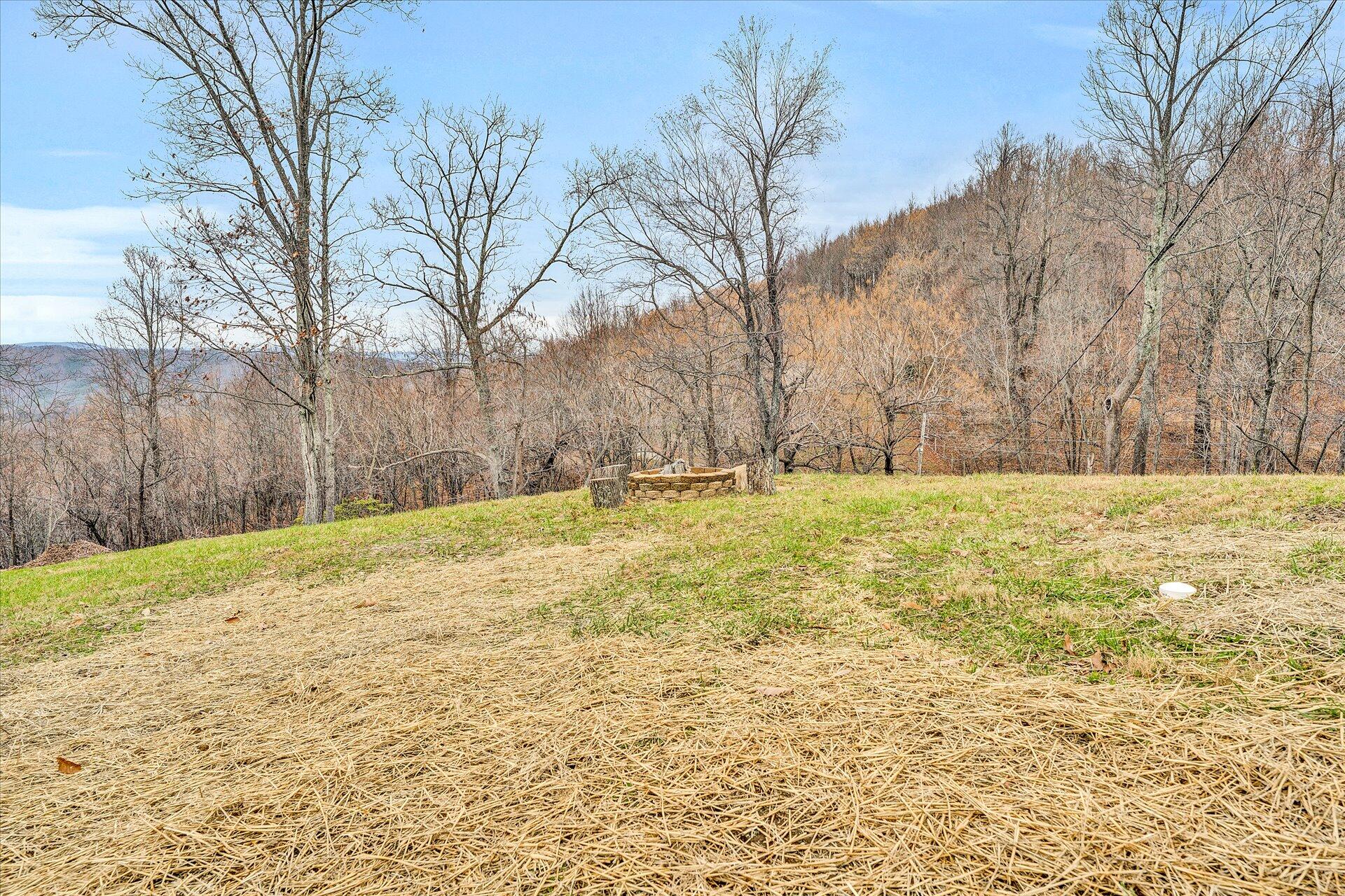 7890 Webb Road Boones Mill, VA 24065 - Photo 79 of 82 77-DSC00208