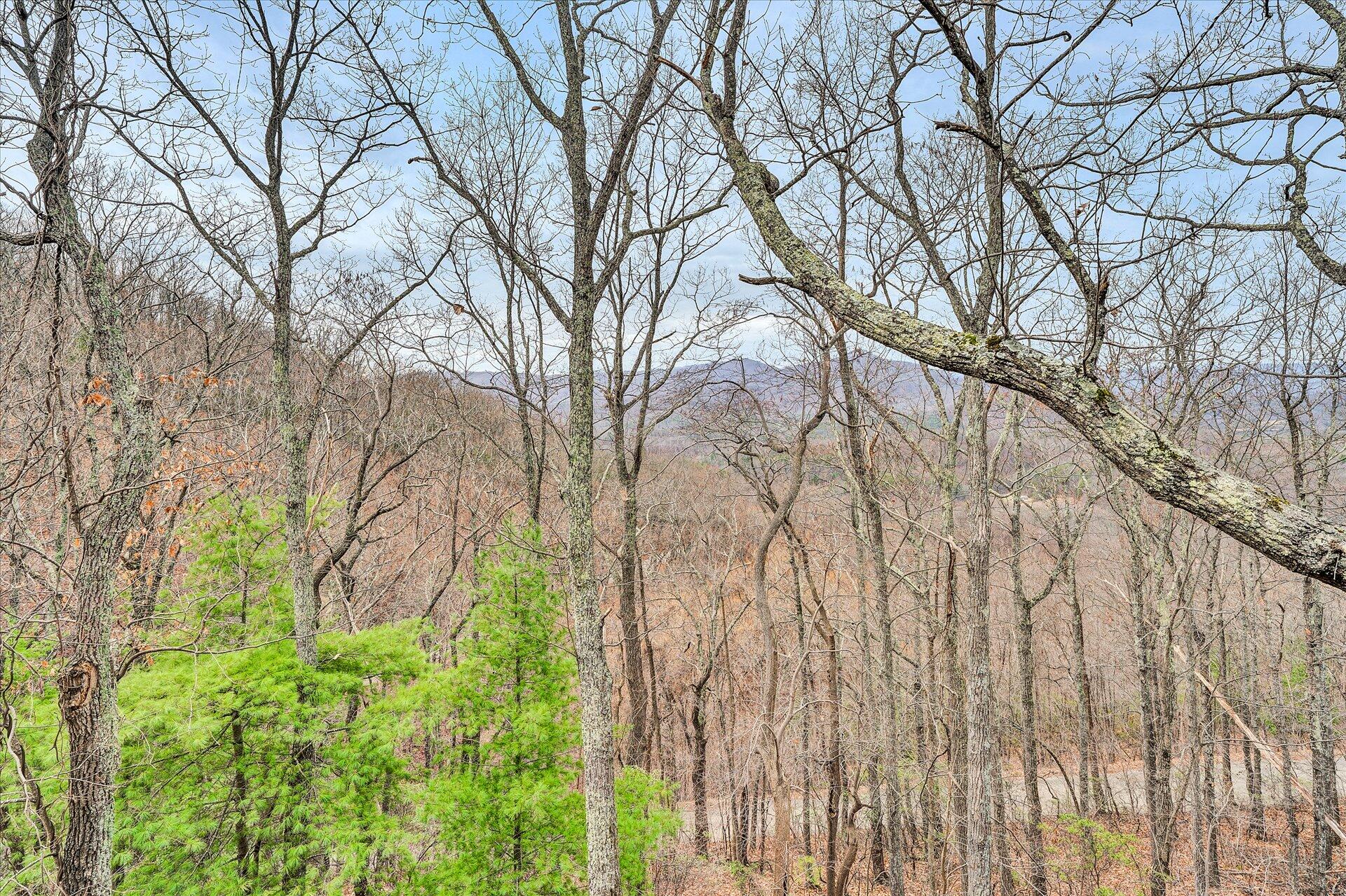 7890 Webb Road Boones Mill, VA 24065 - Photo 80 of 82 78-DSC00172