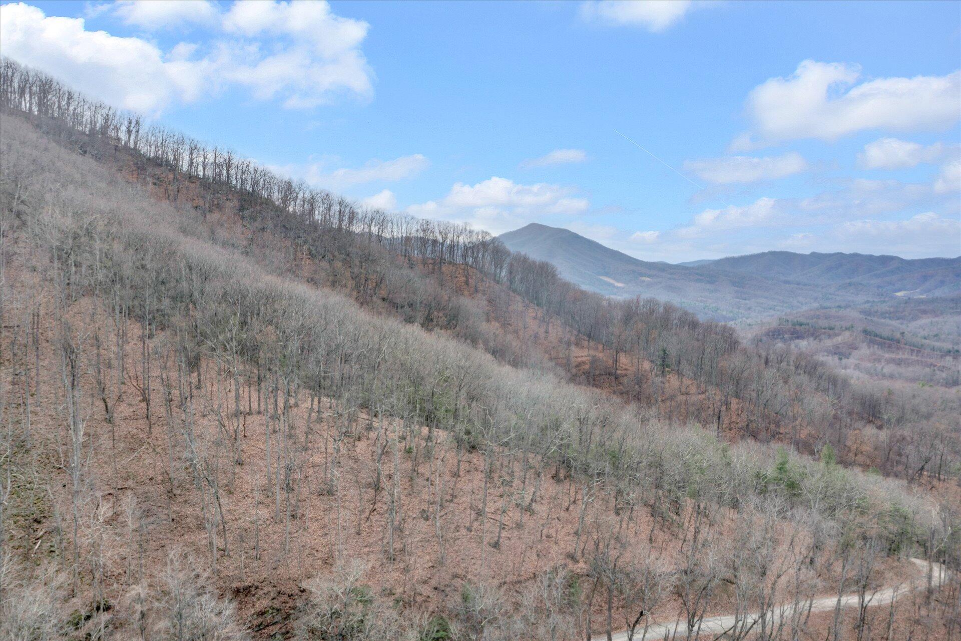 7890 Webb Road Boones Mill, VA 24065 - Photo 10 of 82 10-DJI_0631