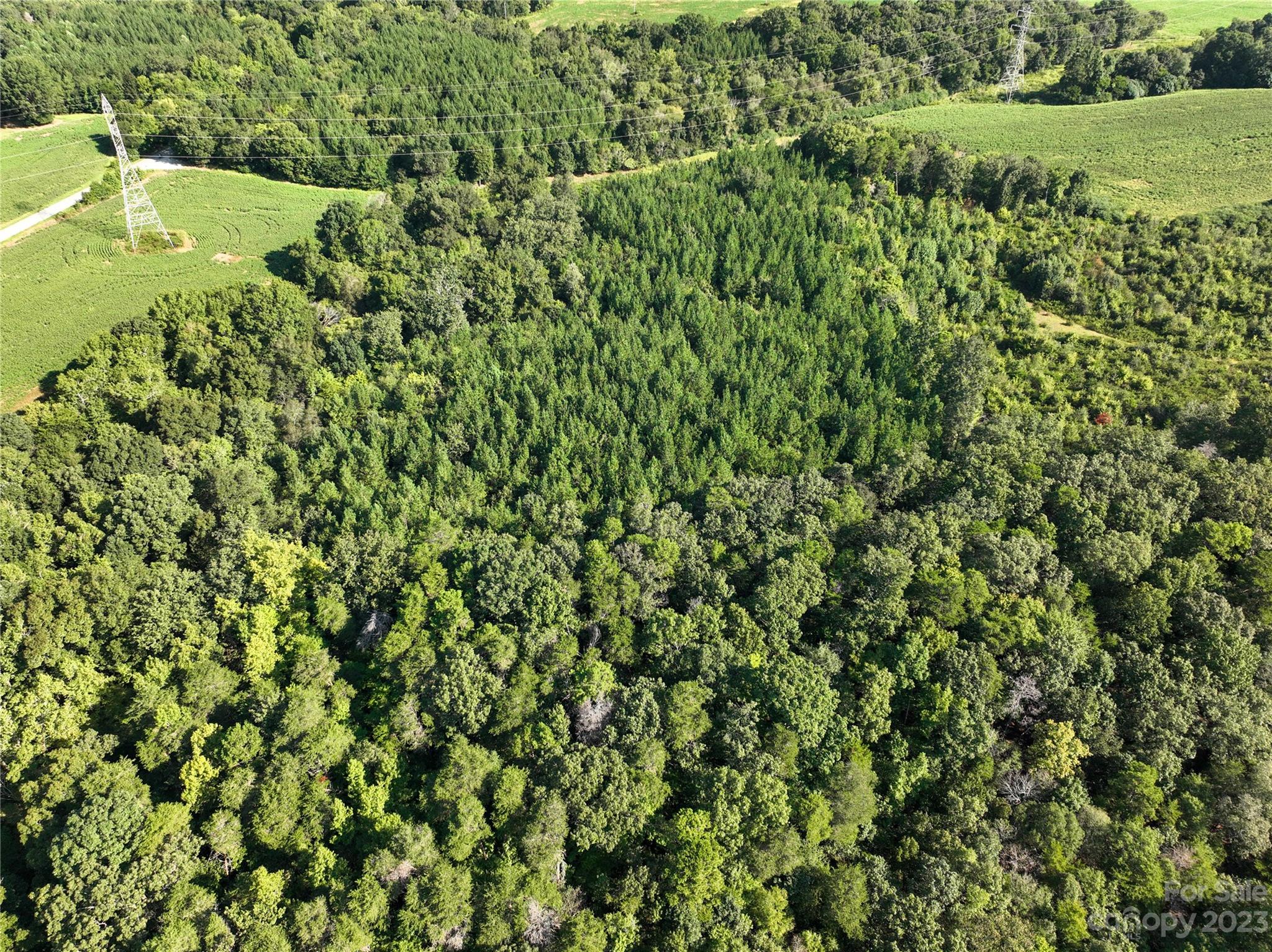 0 Santa Claus Road Monroe, NC 28110 - Photo 6 of 43 a view of a big yard with plants and large trees