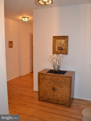 10804 Midsummer Drive Reston, VA 20191 - Photo 21 of 30 Interior (General)