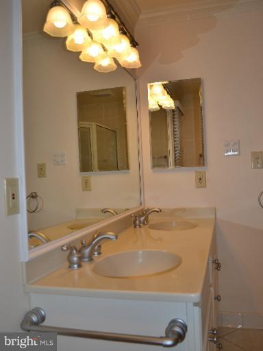10804 Midsummer Drive Reston, VA 20191 - Photo 7 of 30 Bath (Master)