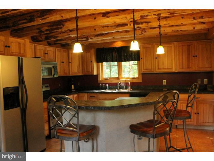 502 Mountainside Road Temple, PA 19560 - Photo 4 of 7 Kitchen