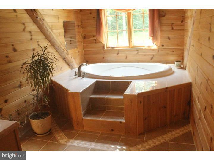 502 Mountainside Road Temple, PA 19560 - Photo 5 of 7 Master Bathroom