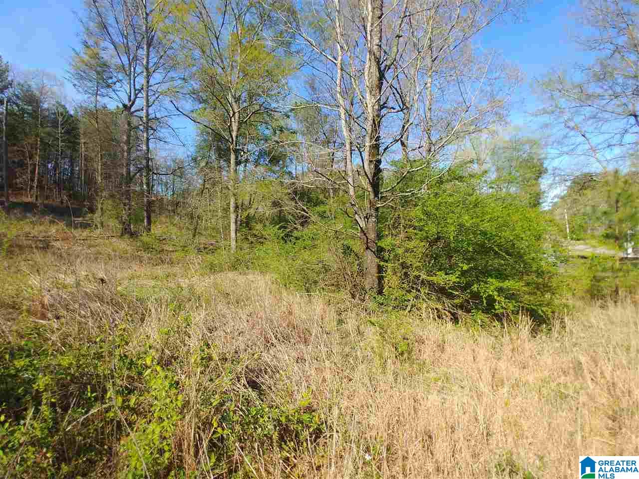 0 Roberts Mill Pond Road, Unit 1 39 Pell City, AL 35128 - Photo 18 of 29