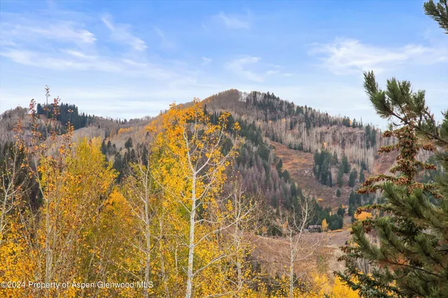 $95,000 | 1016 East Hopkins Avenue, Aspen, CO 81611