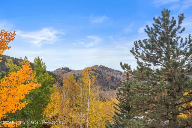 $95,000 | 1016 East Hopkins Avenue, Aspen, CO 81611