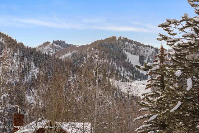 $95,000 | 1016 East Hopkins Avenue, Aspen, CO 81611