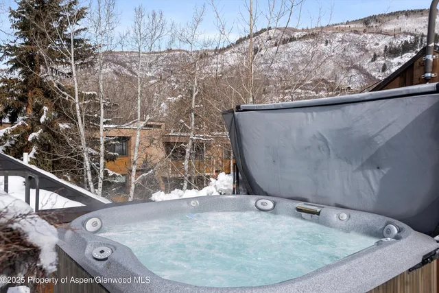 $95,000 | 1016 East Hopkins Avenue, Aspen, CO 81611