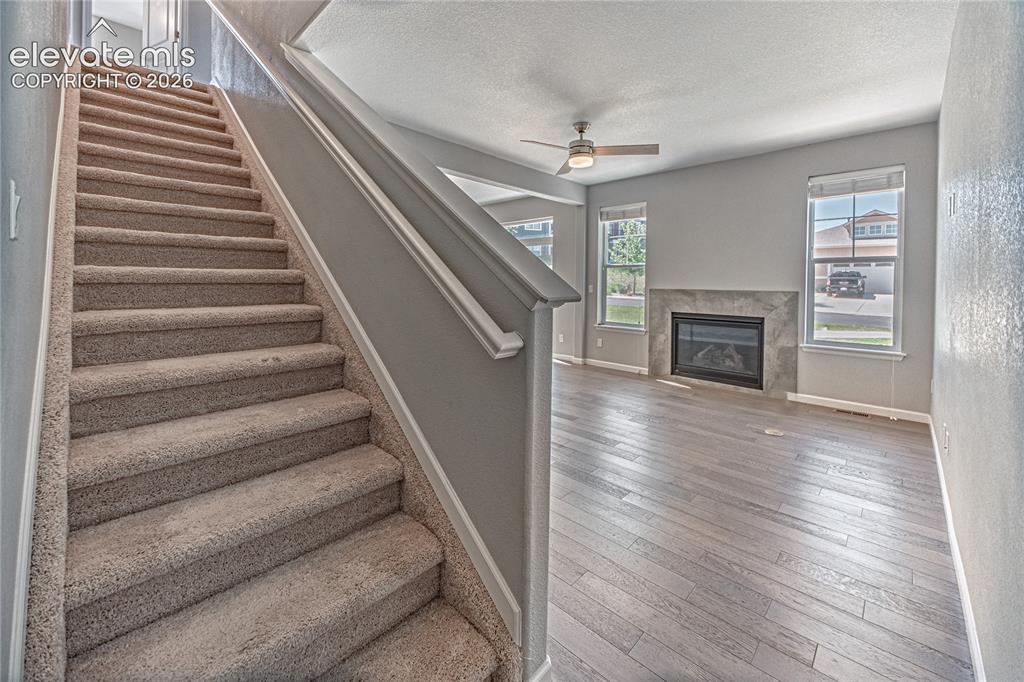 1306 Promontory Bluff View Colorado Springs, CO 80921 - Photo 24 of 39