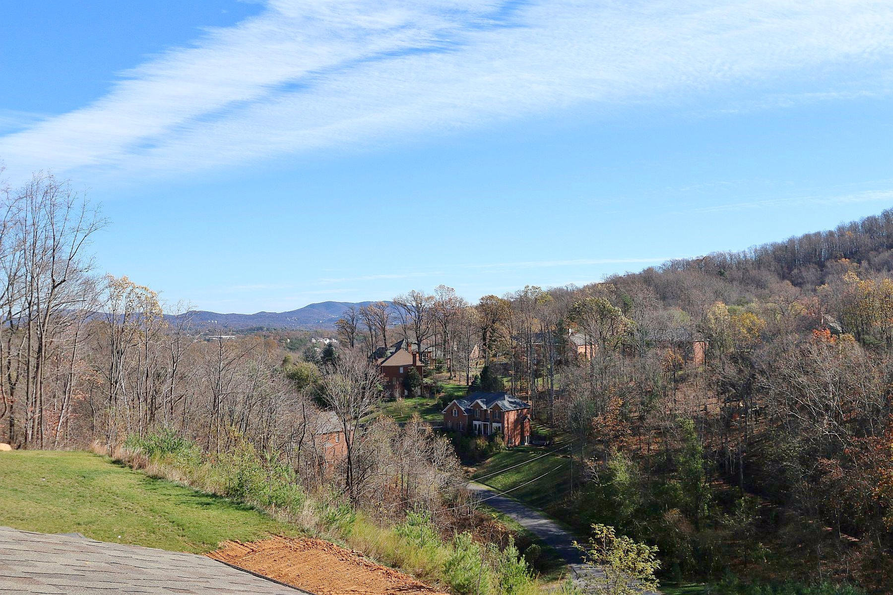 6875 Fairway Ridge Road Salem, VA 24153 - Photo 45 of 91 a view of a mountain in the distance in a field
