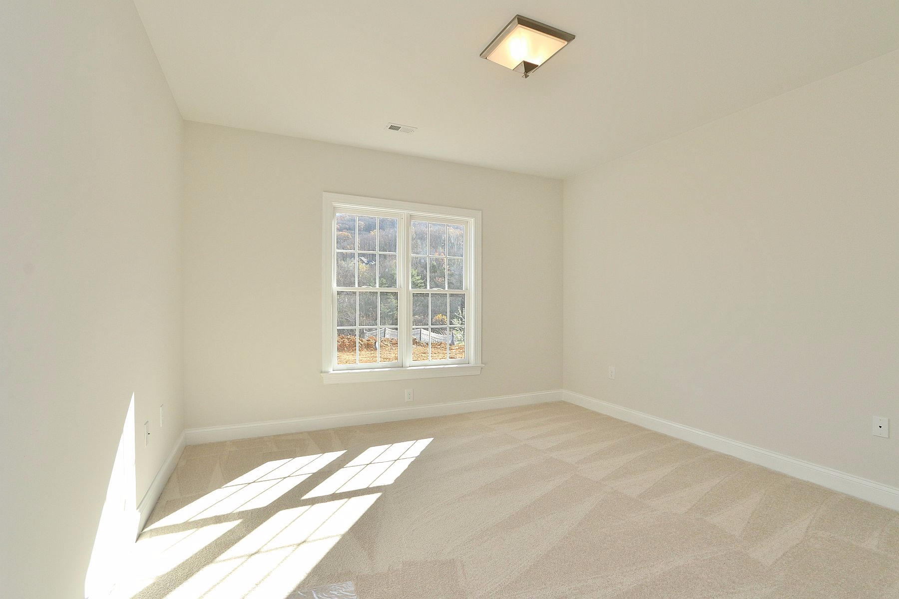 6875 Fairway Ridge Road Salem, VA 24153 - Photo 86 of 91 IMG_1604