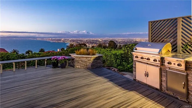 a view of a garden with plants