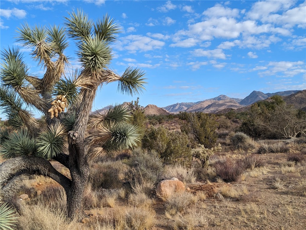 2624 South Gold Mine Road Yucca, AZ 86438 - Photo 15 of 15