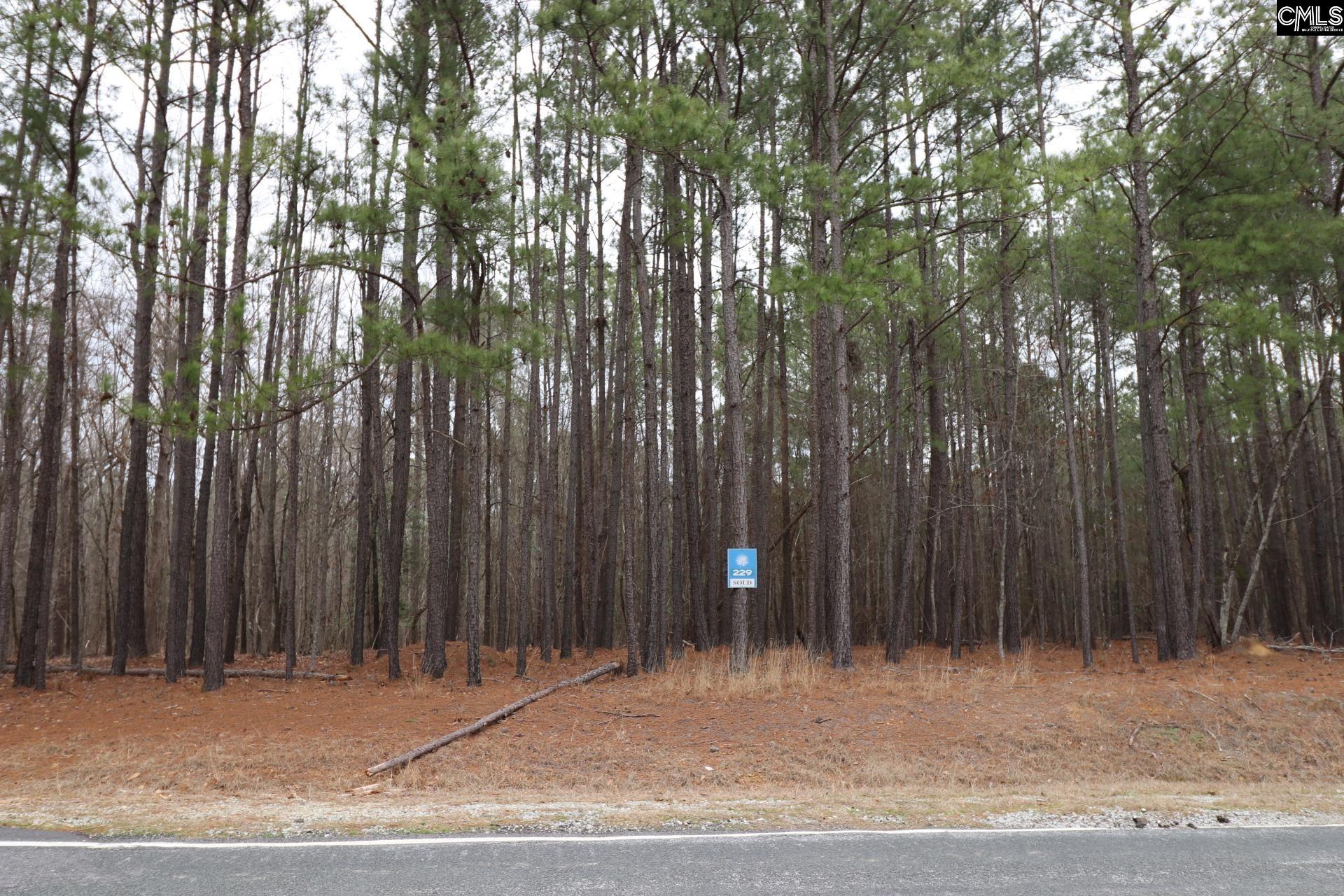 Lot 229 Granny Hill Road Prosperity, SC 29127 - Photo 38 of 61