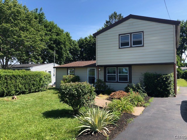 Solvay colonial/ranch