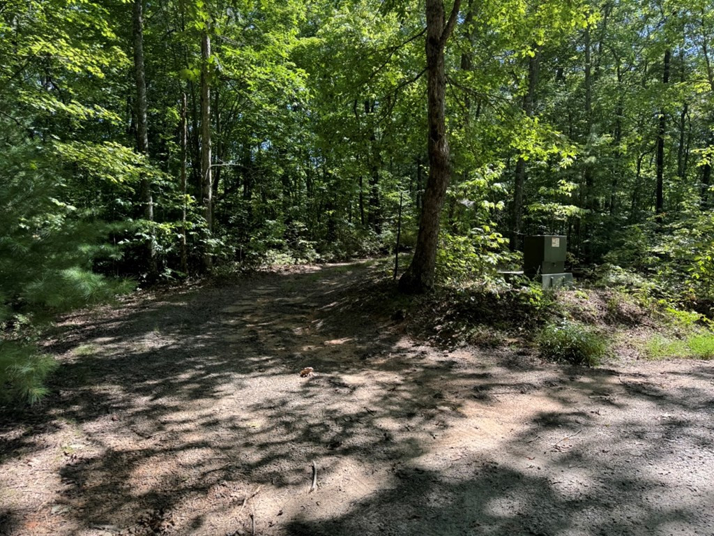 Lot 6-7 Donley Road Murphy, NC 28906 - Photo 3 of 14